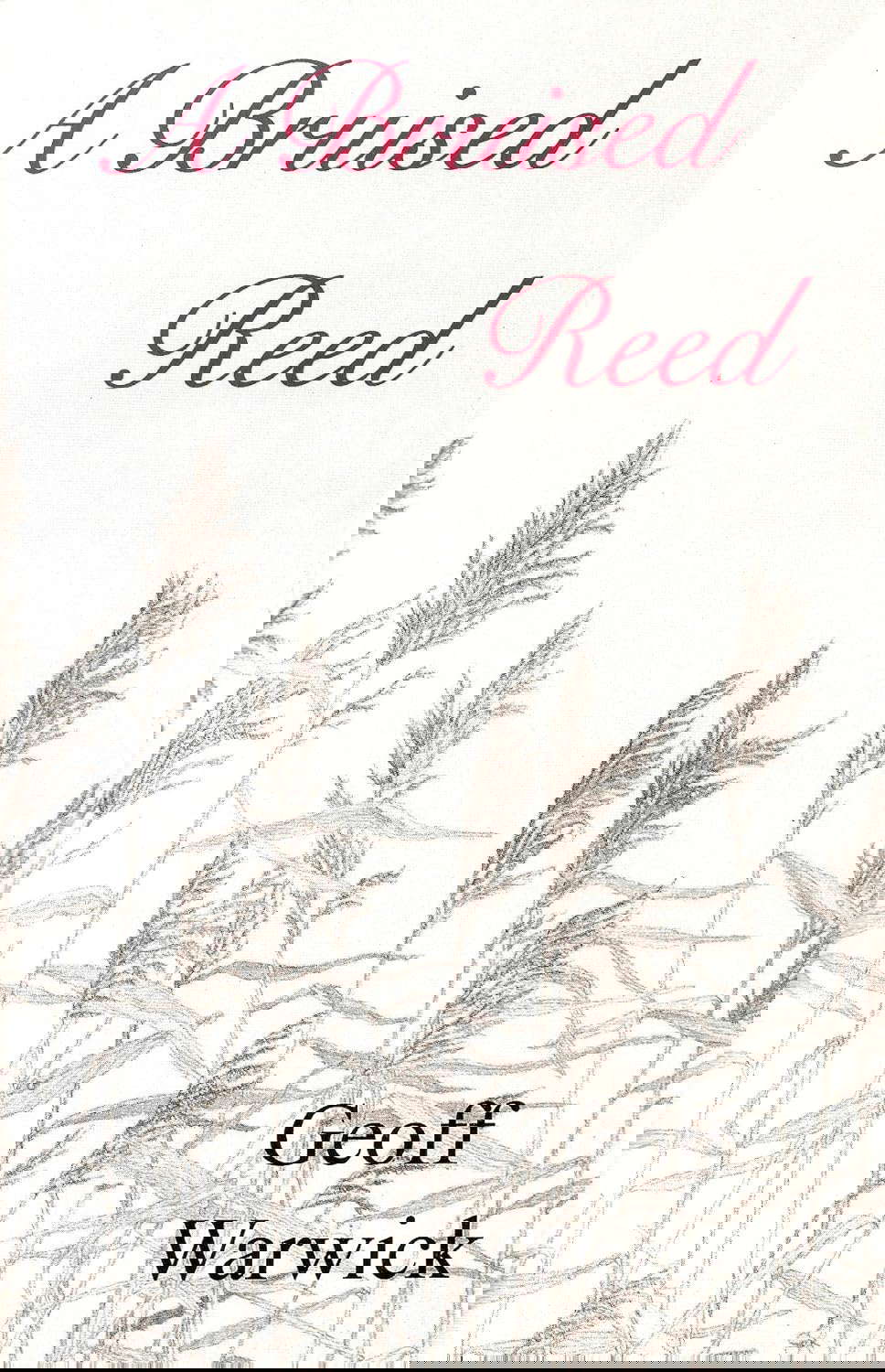 A Bruised Reed poster