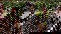 episode poster