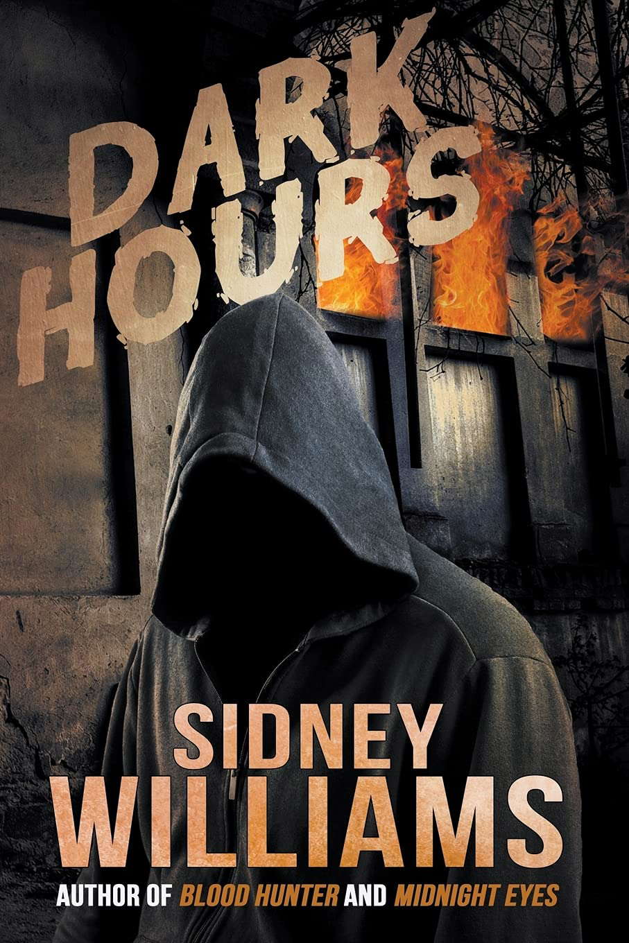 Dark Hours poster