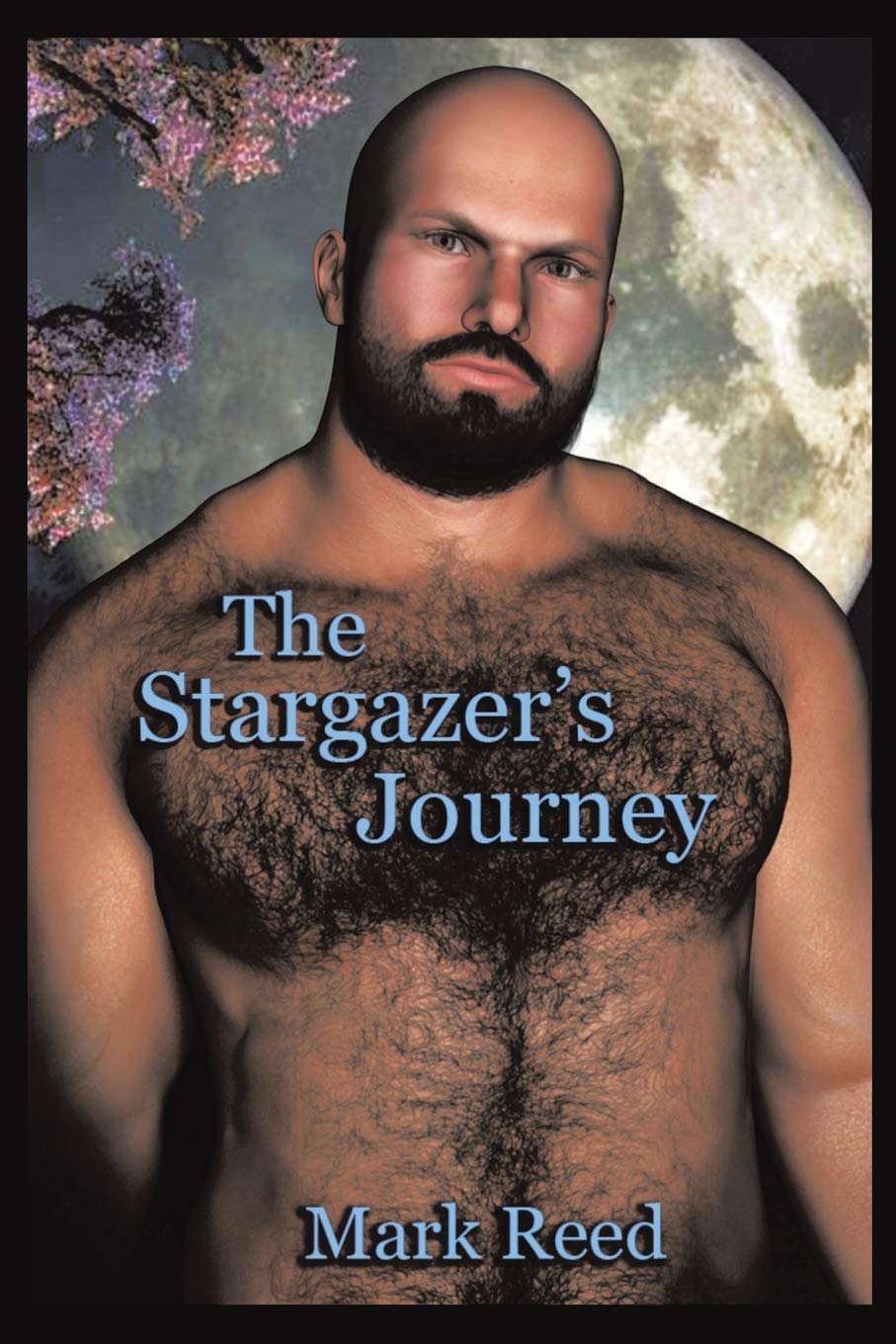 The Stargazer’s Journey poster