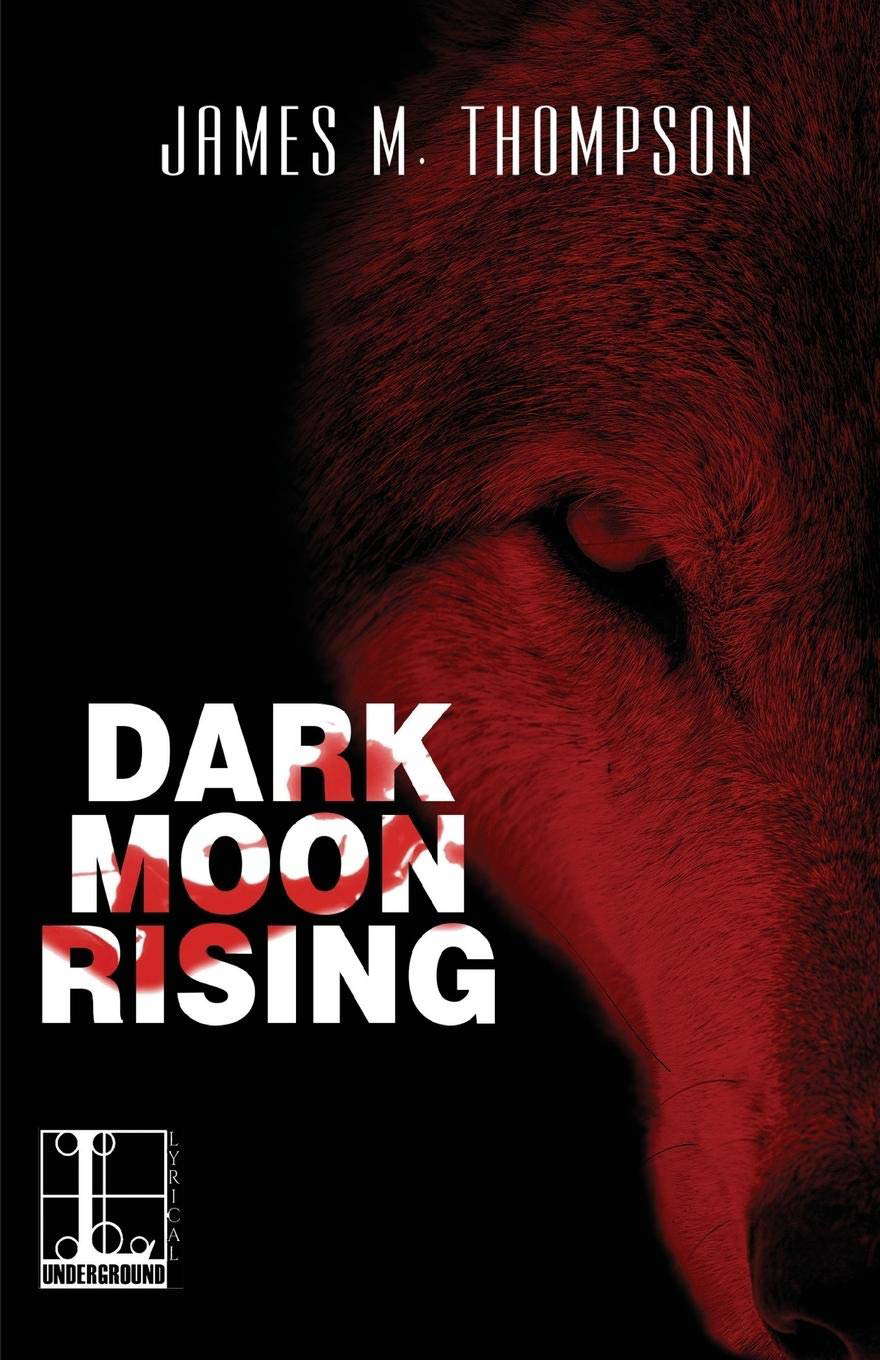 Dark Moon Rising poster