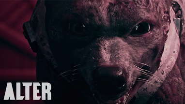 Horror Short Film "LAIKA" | ALTER poster