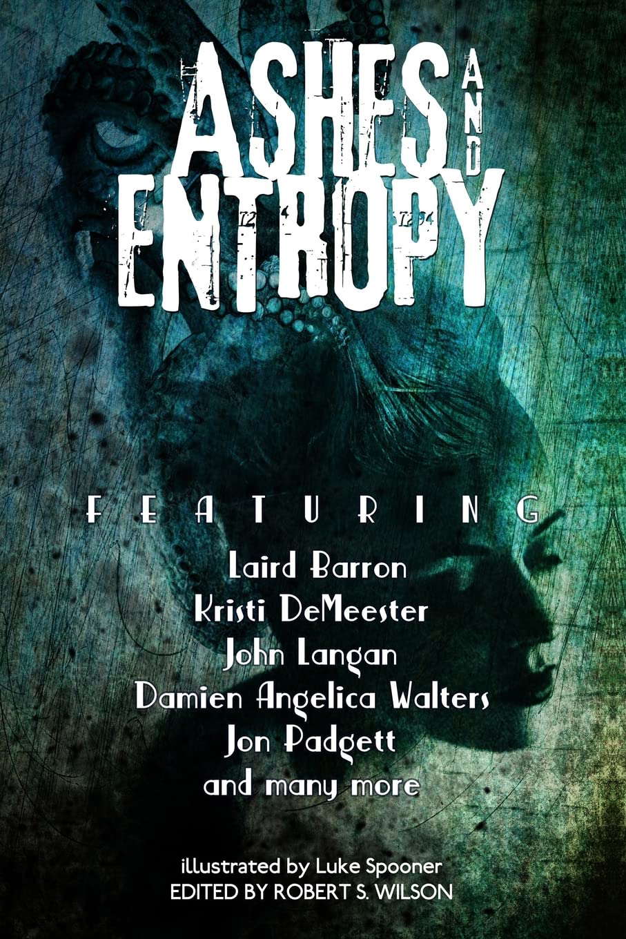 Ashes and Entropy poster