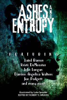 Ashes and Entropy poster