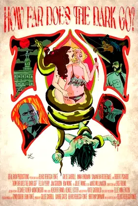 How Far Does the Dark Go? poster