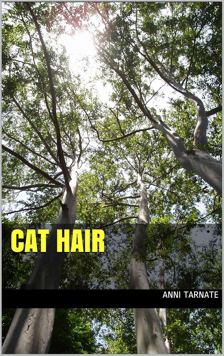 Cat Hair poster