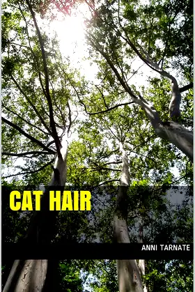 Cat Hair poster