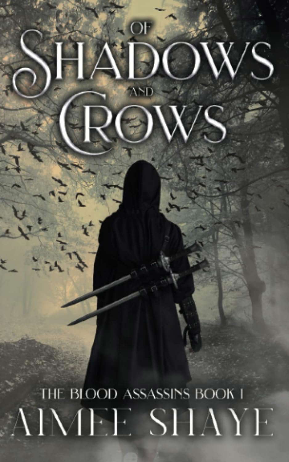 Of Shadows and Crows poster