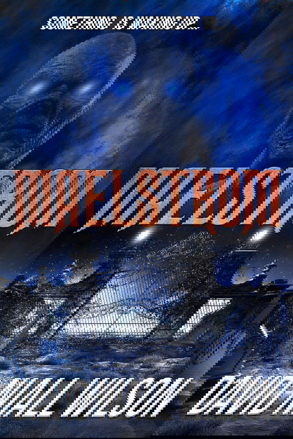 Maelstrom poster