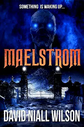 Maelstrom poster