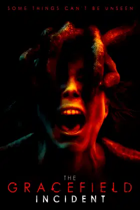 The Gracefield Incident poster
