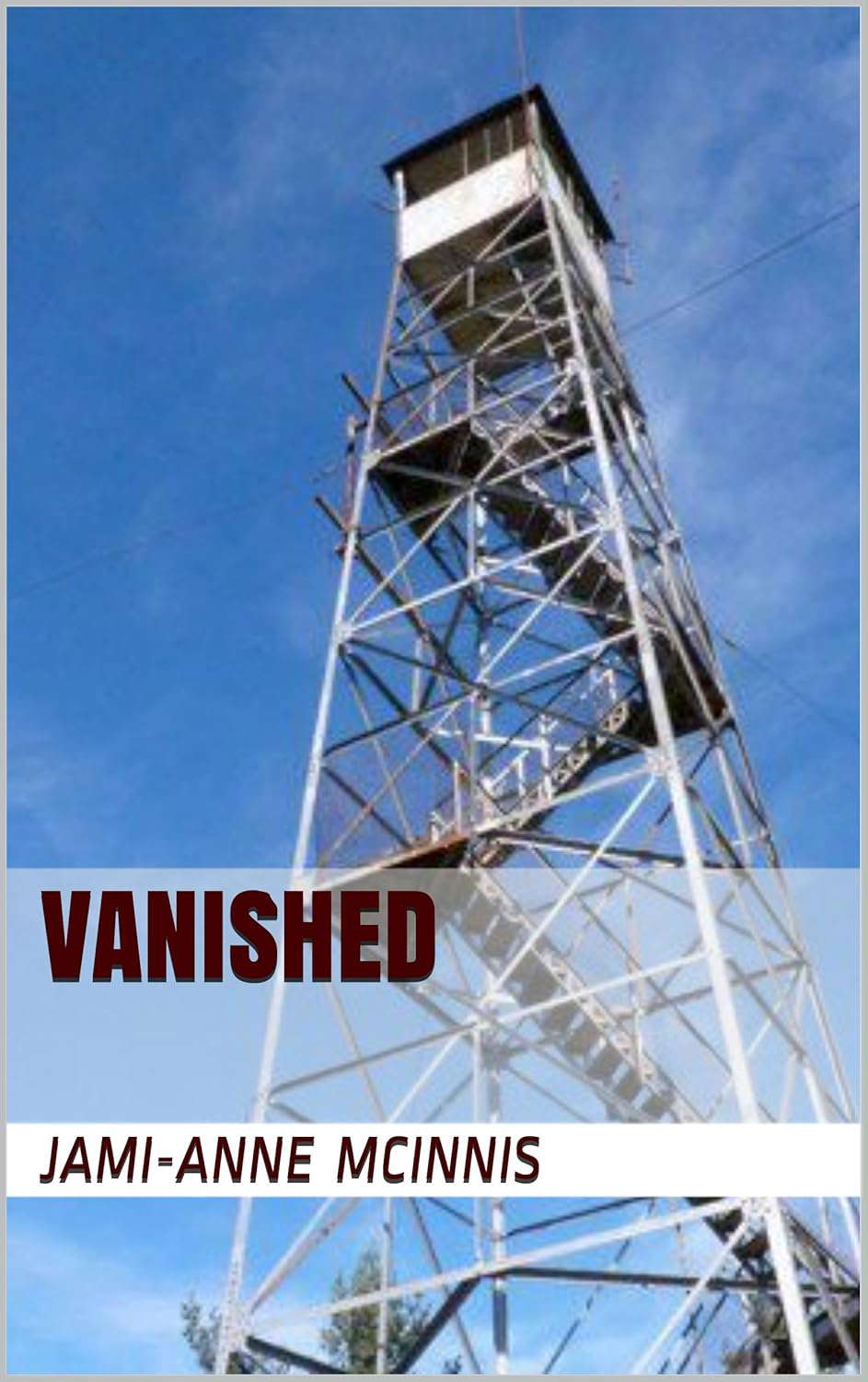 Vanished poster