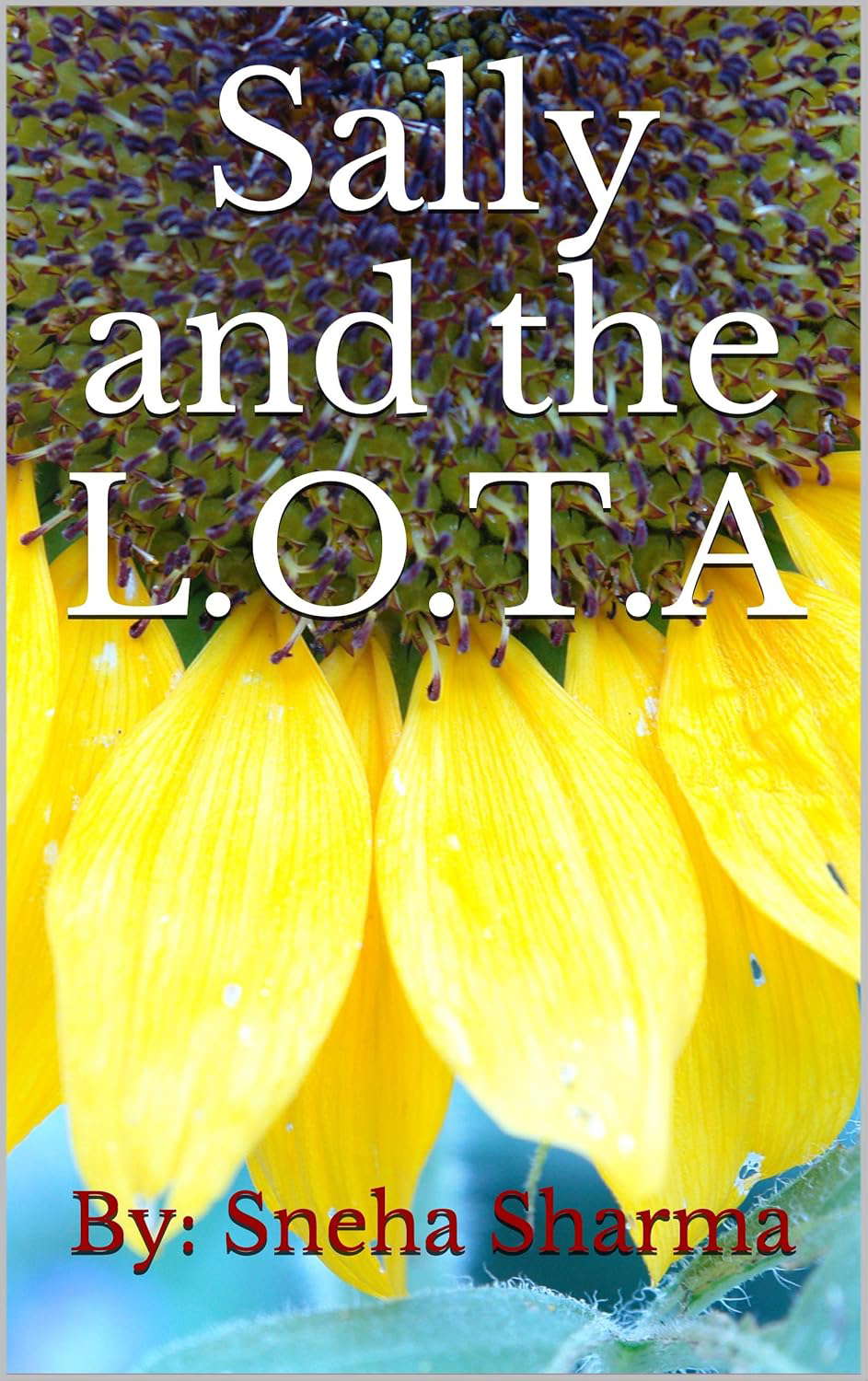 Sally and the L.O.T.A poster