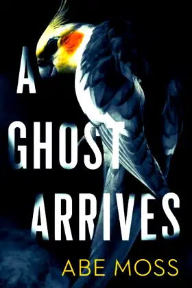 A Ghost Arrives: A Novel poster