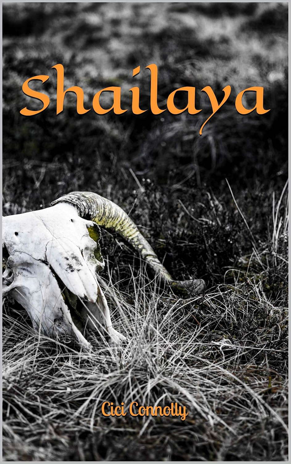 Shailaya: Special Edition poster