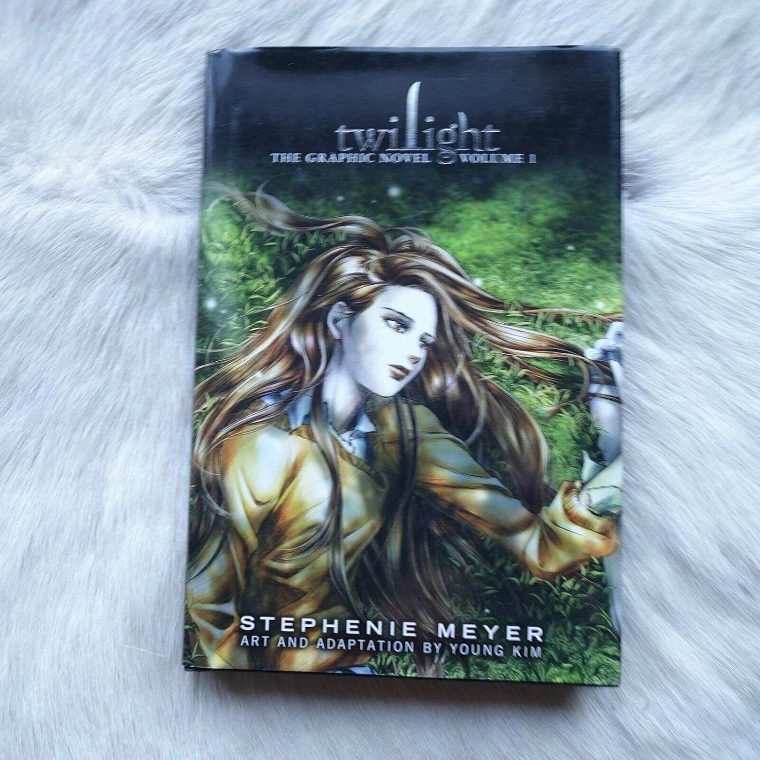 Twilight: The Graphic Novel, Volume 1 poster