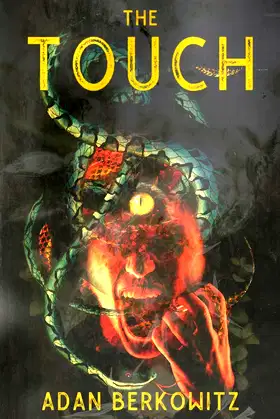 The Touch poster