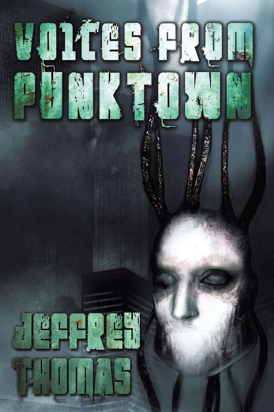 Voices From Punktown poster