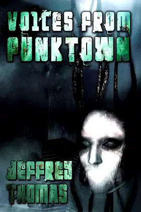 Voices From Punktown poster