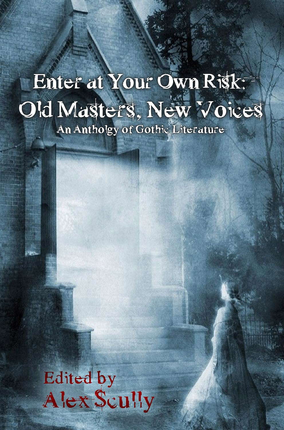 Enter at Your Own Risk: Old Masters, New Voices poster