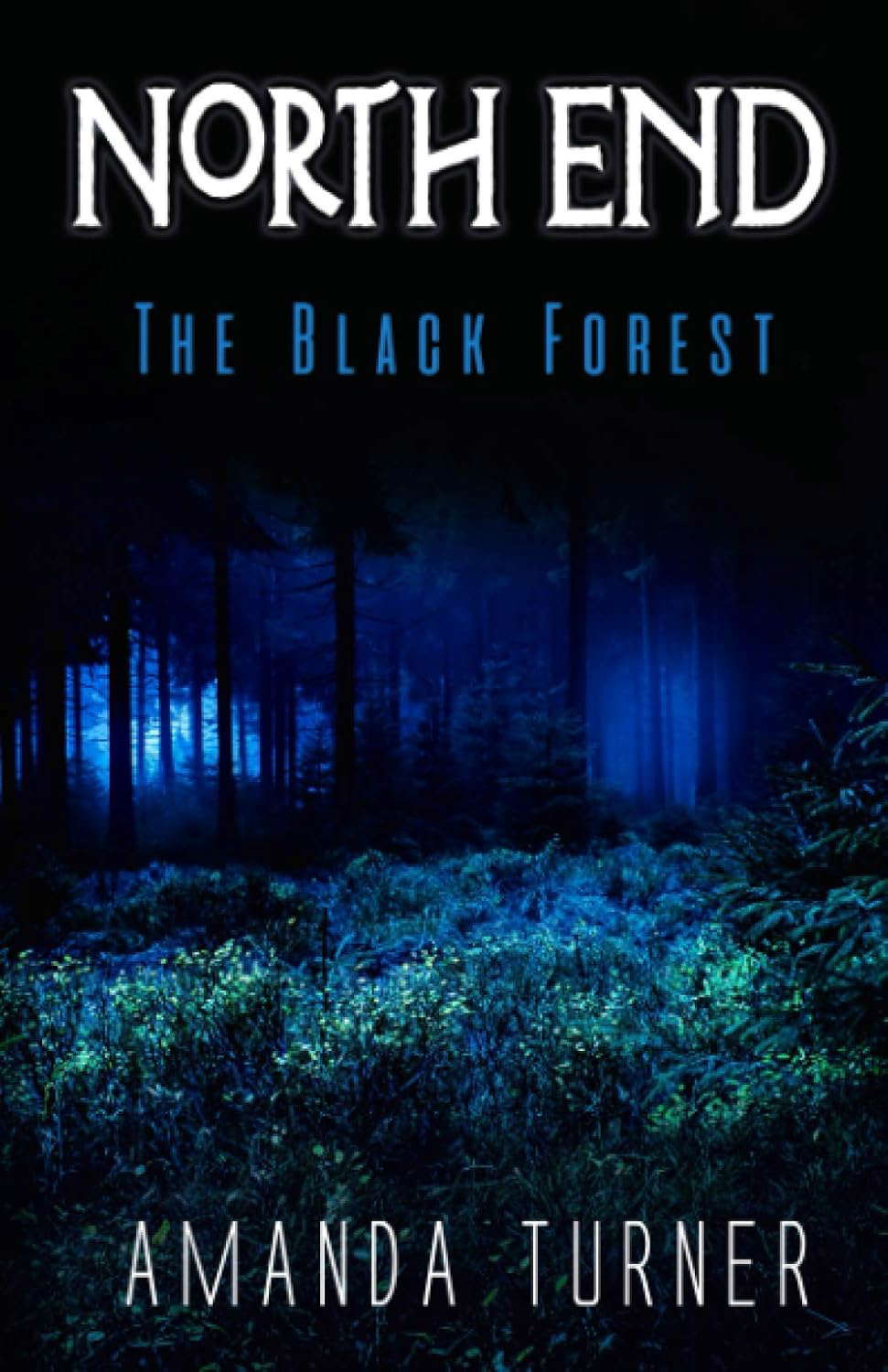 North End: The Black Forest poster