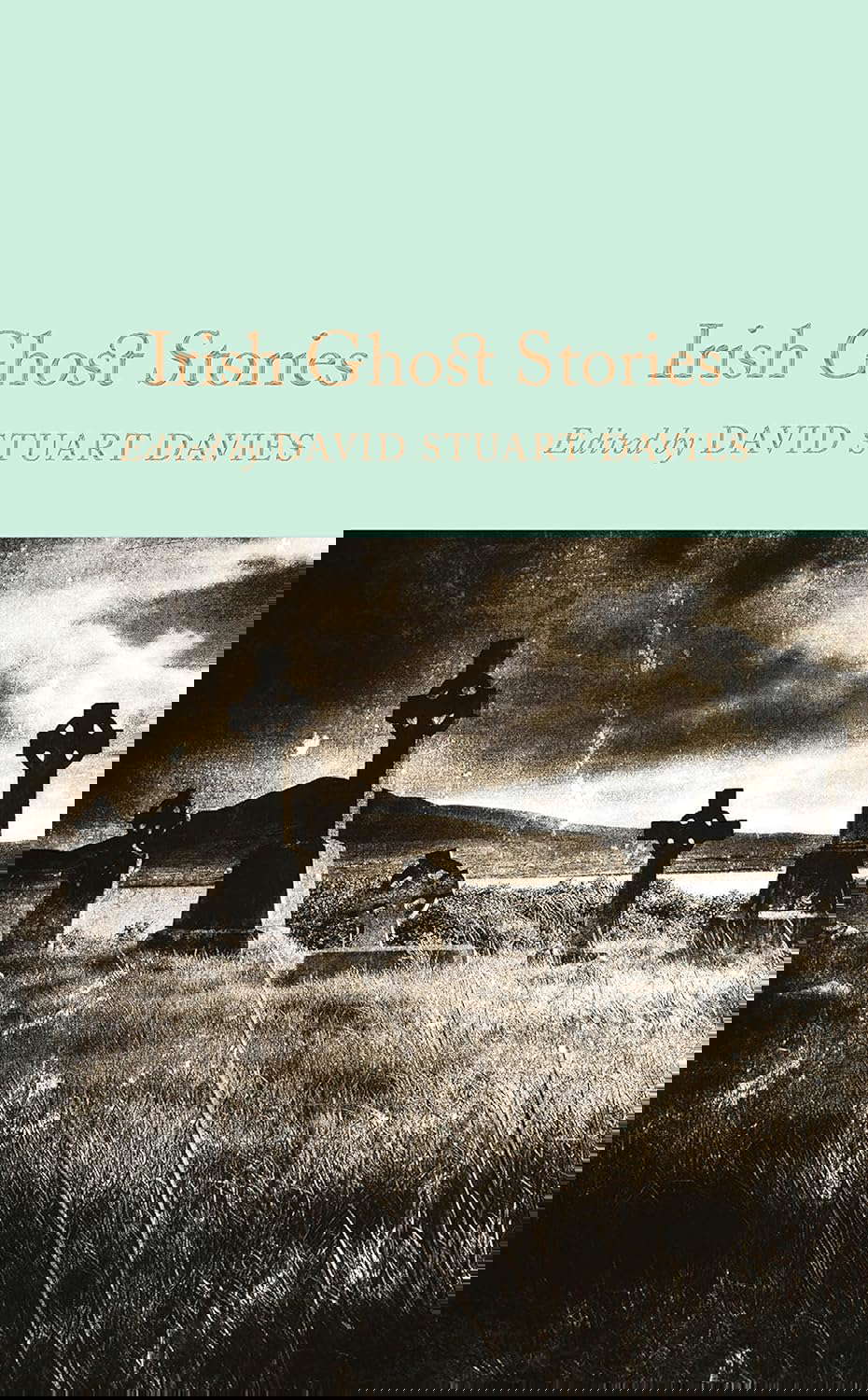Irish Ghost Stories (Macmillan Collector's Library) poster