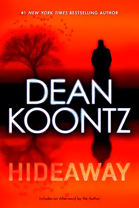 Hideaway poster