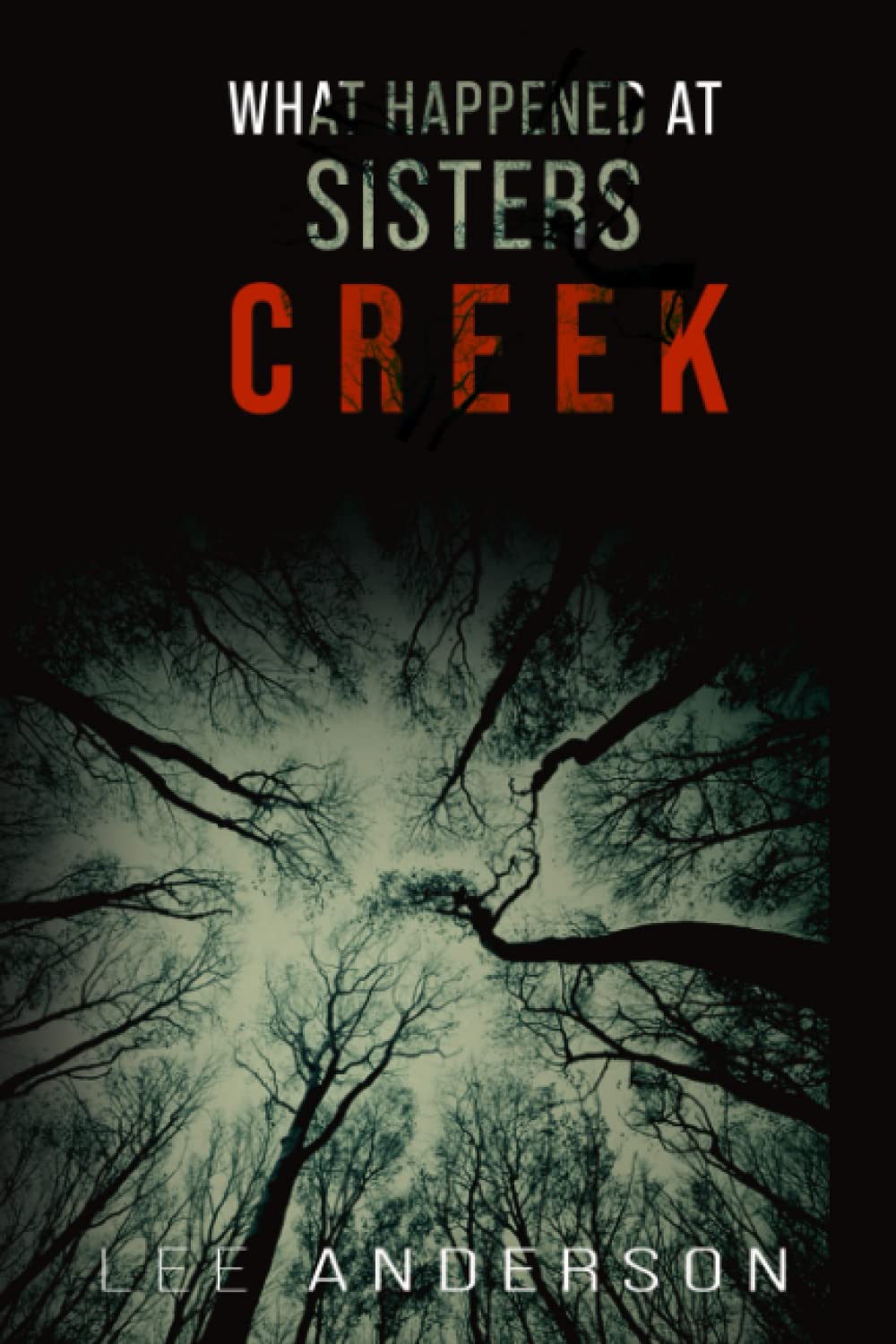 What Happened at Sisters Creek: A Horror Novel poster
