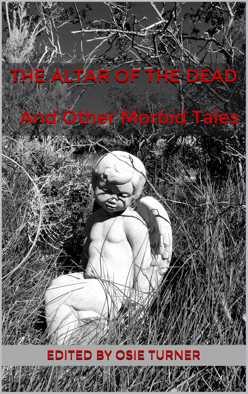 The Altar of the Dead And Other Morbid Tales poster