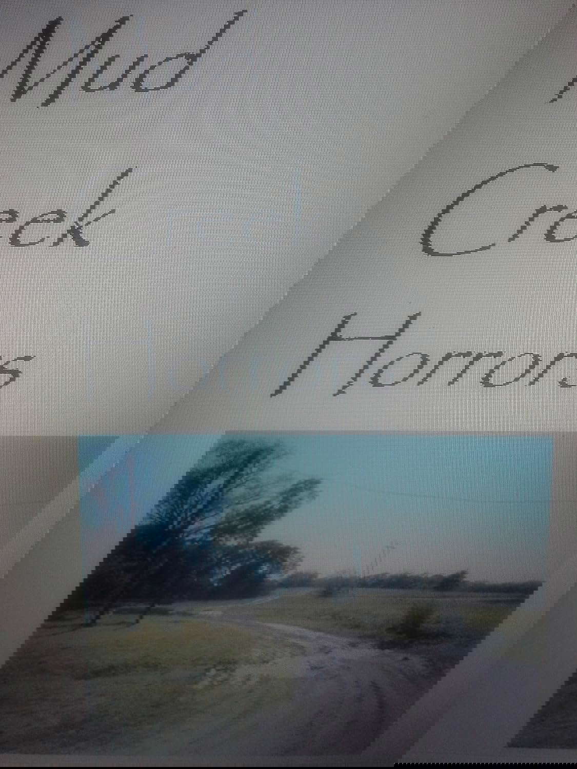 Mud Creek Horrors poster