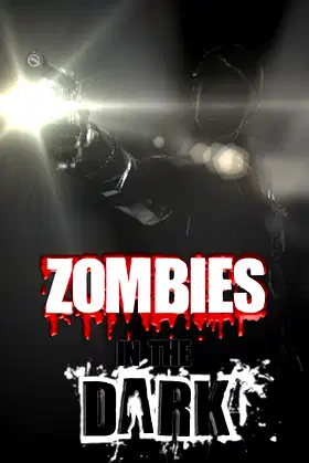 Zombies In The Dark poster