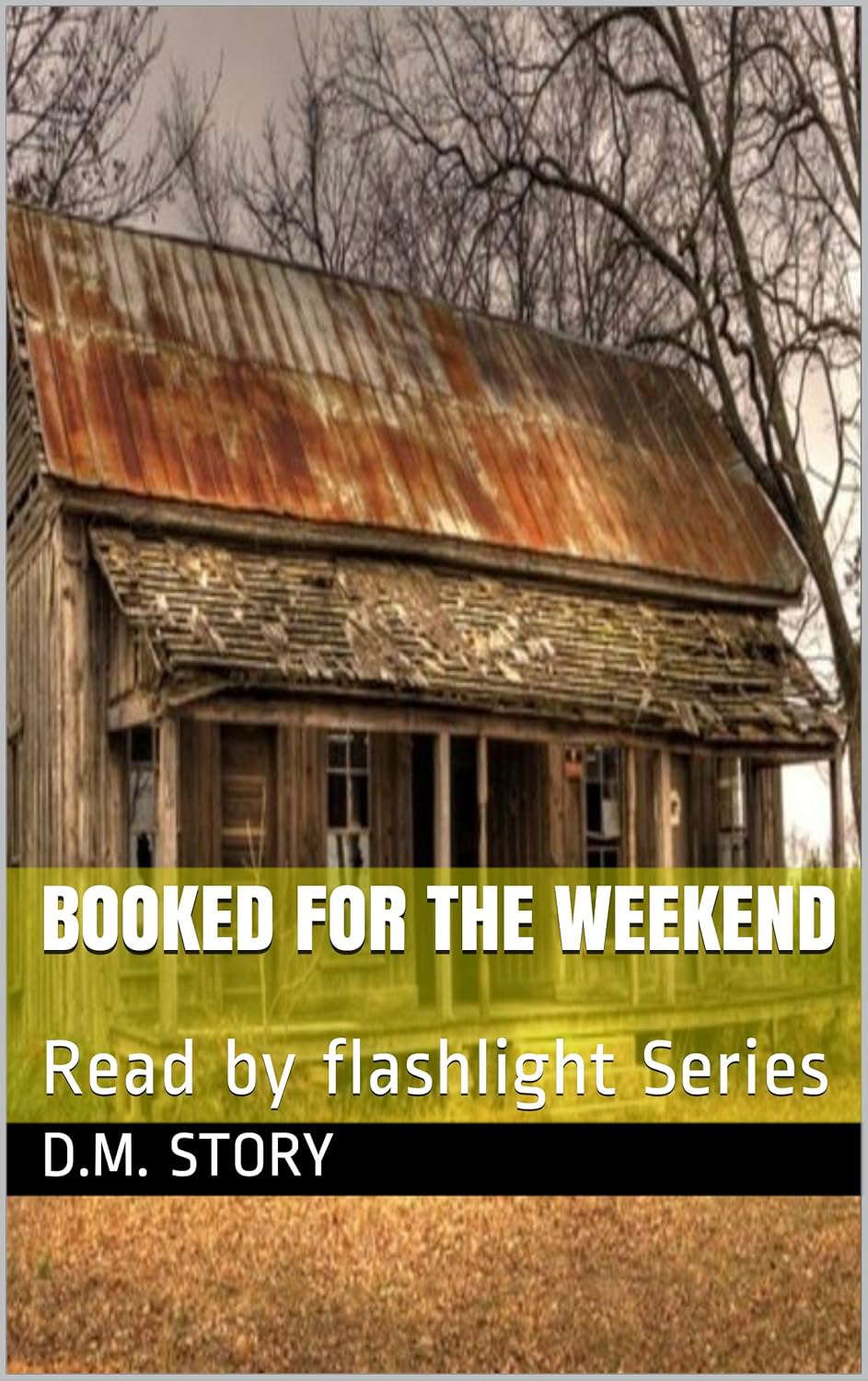 Booked for the Weekend: Read by flashlight Series poster