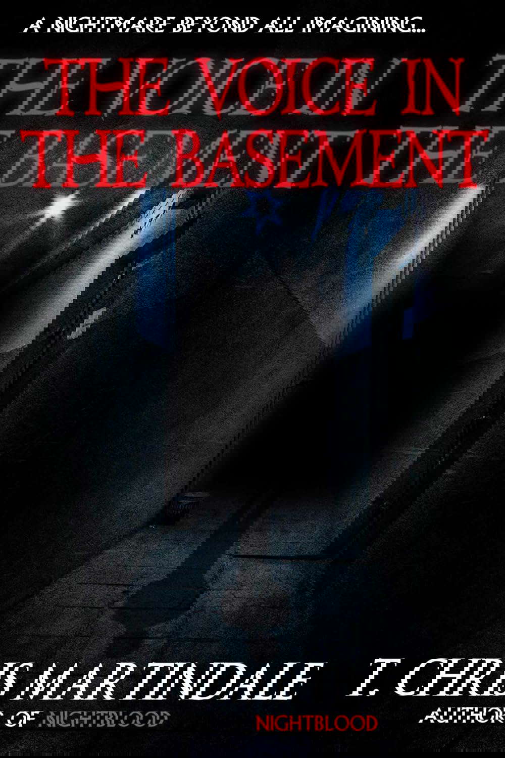 The Voice in the Basement poster
