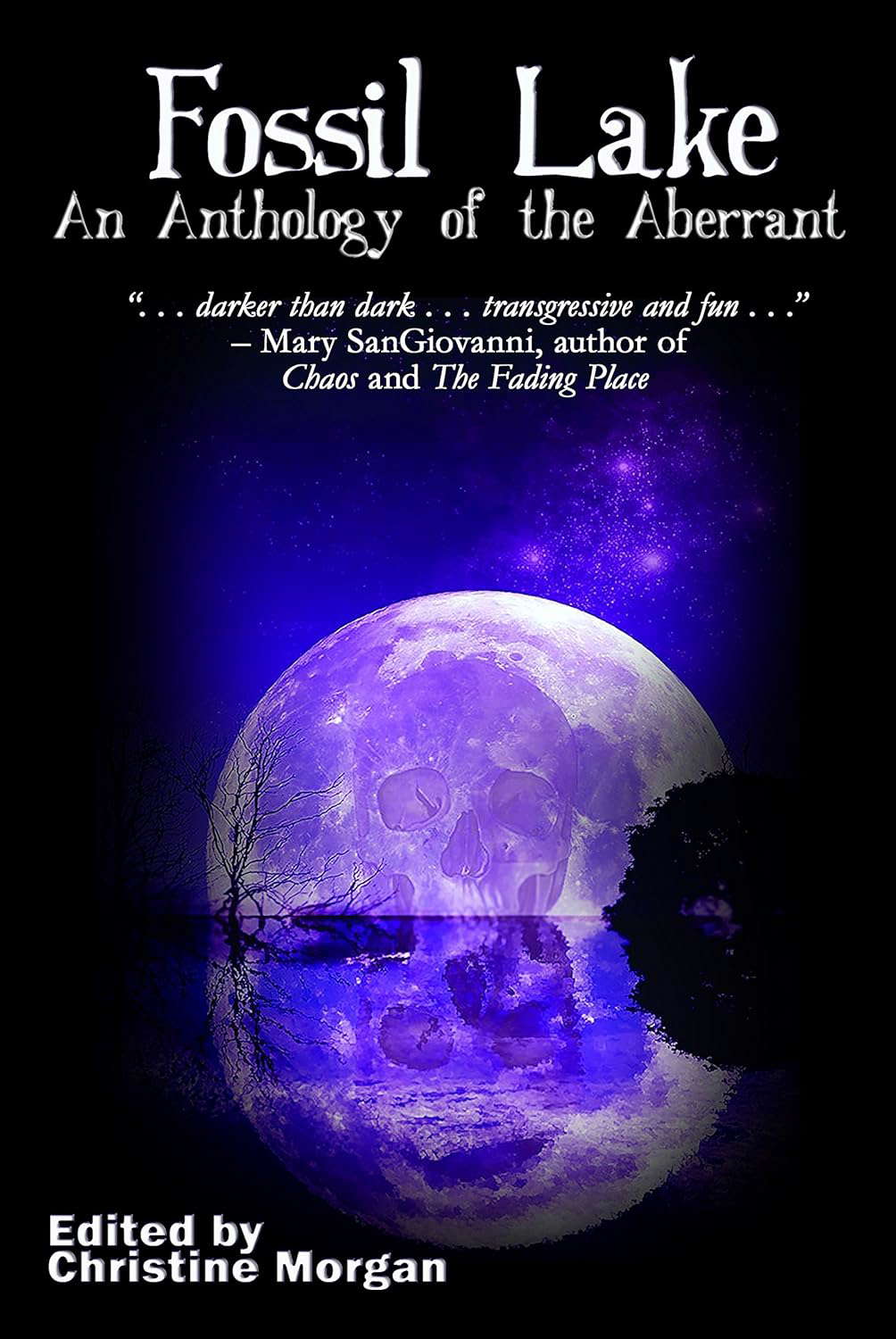 Fossil Lake: An Anthology of the Aberrant poster