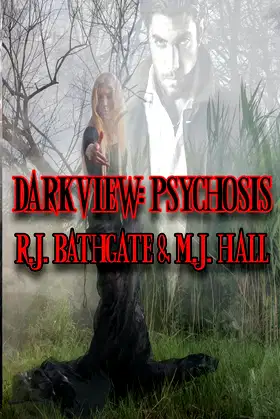 Darkview: Psychosis poster