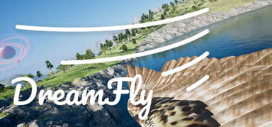 DreamFly capsule