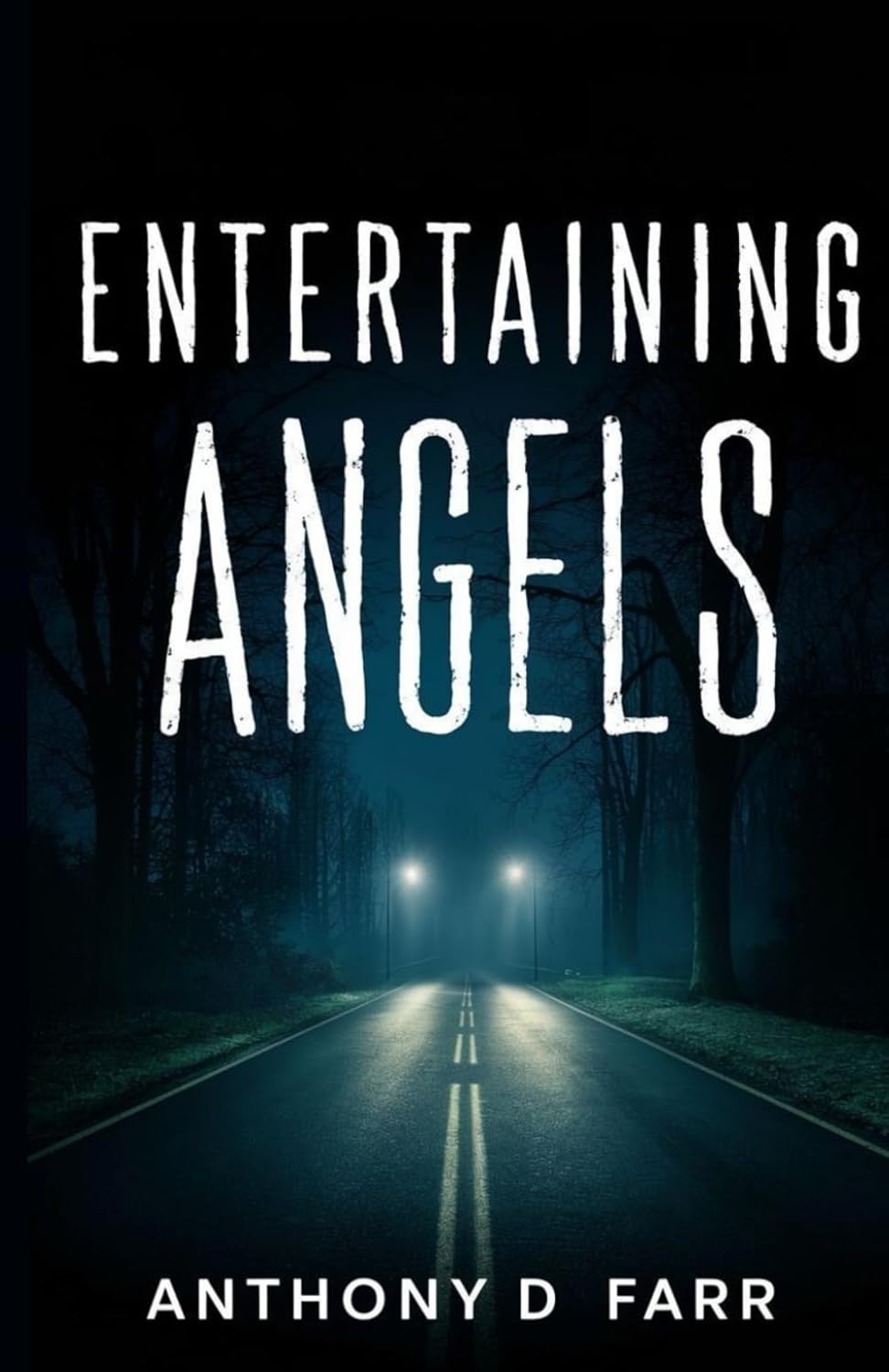 Entertaining Angels poster