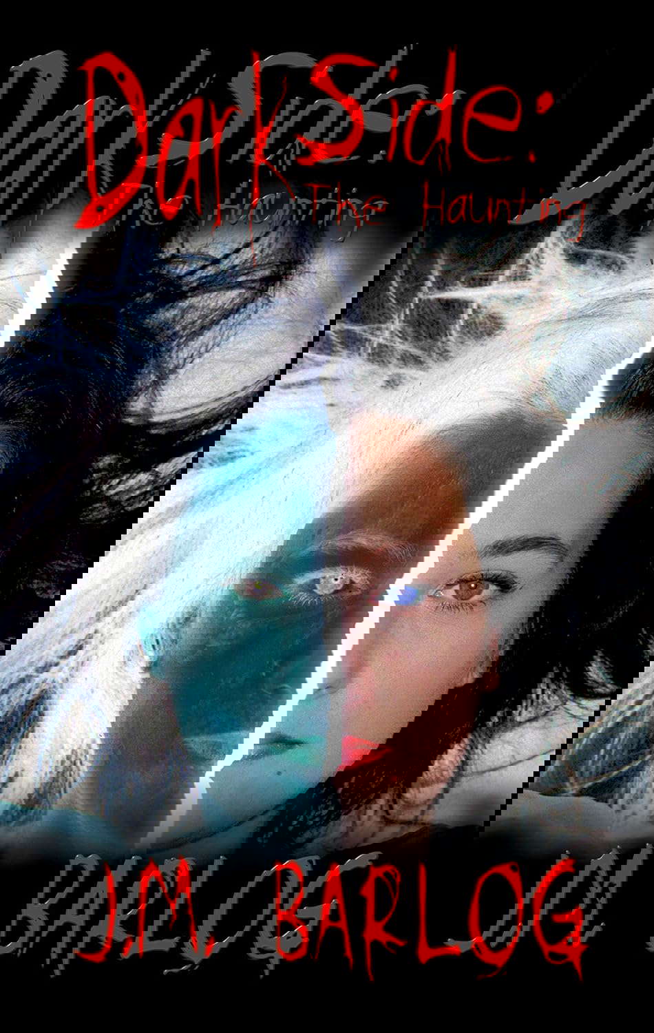 Dark Side: The Haunting poster