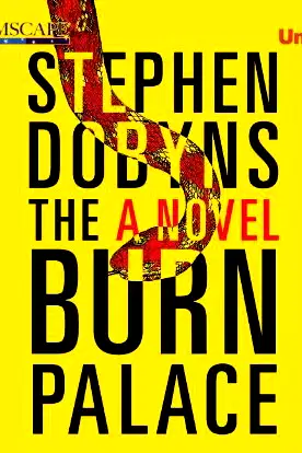 The Burn Palace poster
