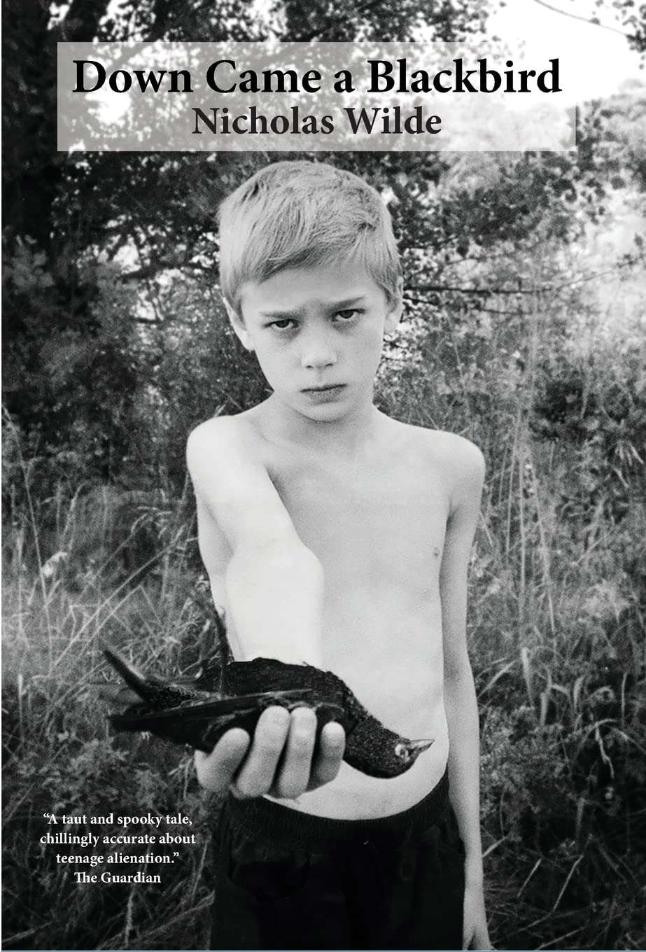 Down Came a Blackbird poster