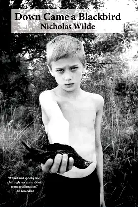 Down Came a Blackbird poster