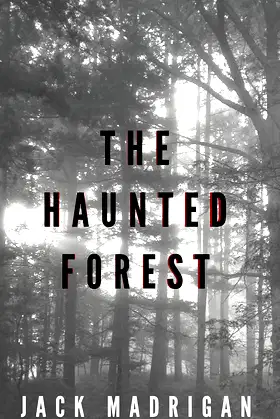 The Haunted Forest poster
