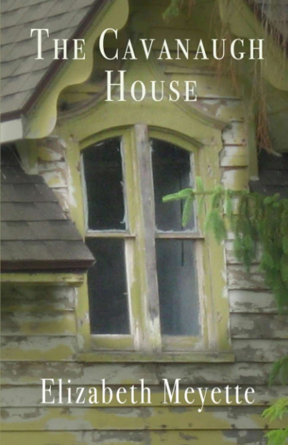 The Cavanaugh House (Finger Lakes Mysteries) poster