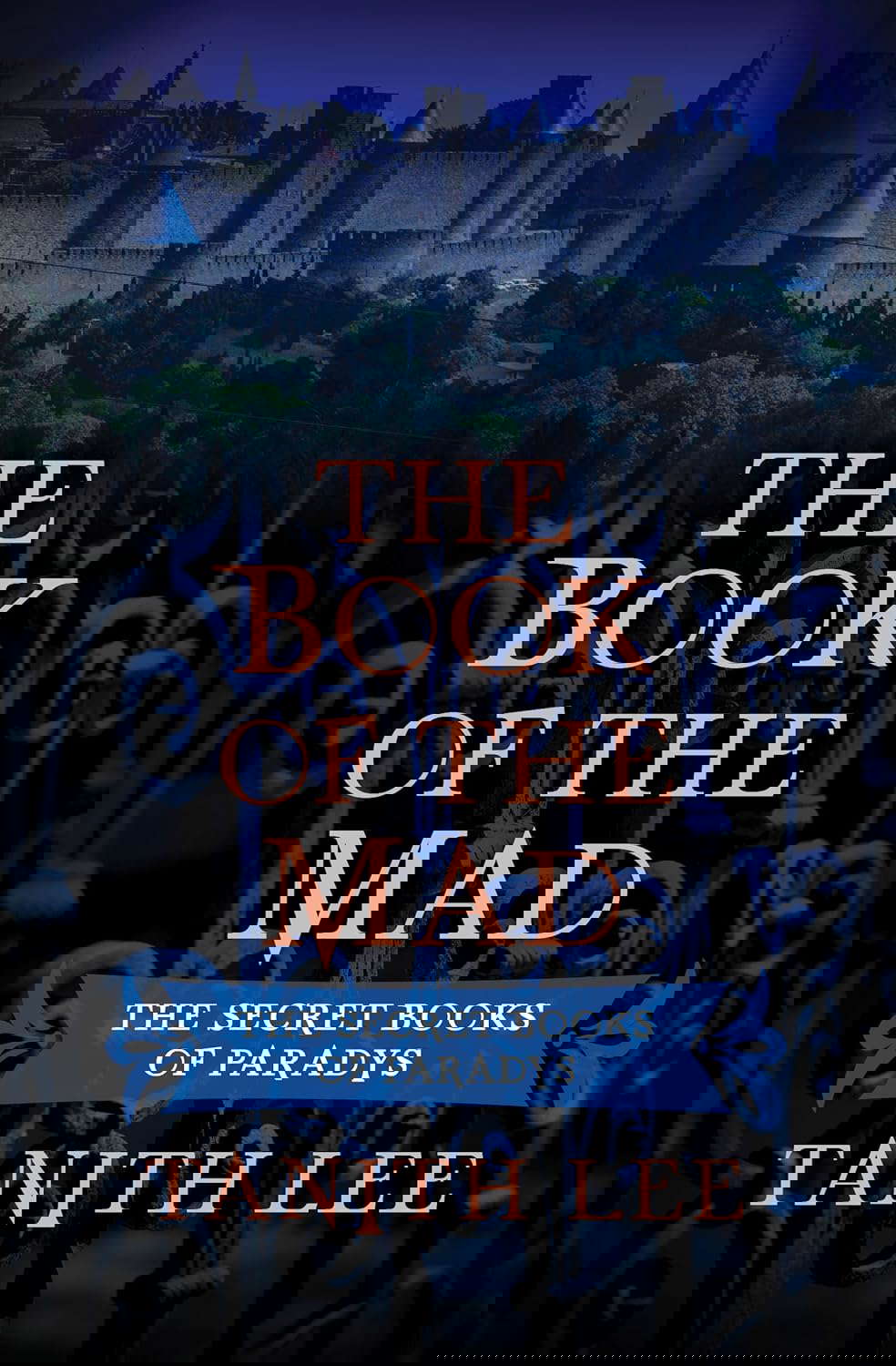The Book of the Mad (The Secret Books of Paradys) poster