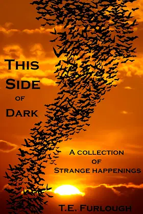 This Side of Dark: A Collection of Strange happenings poster