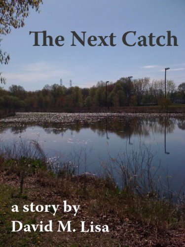 The Next Catch poster