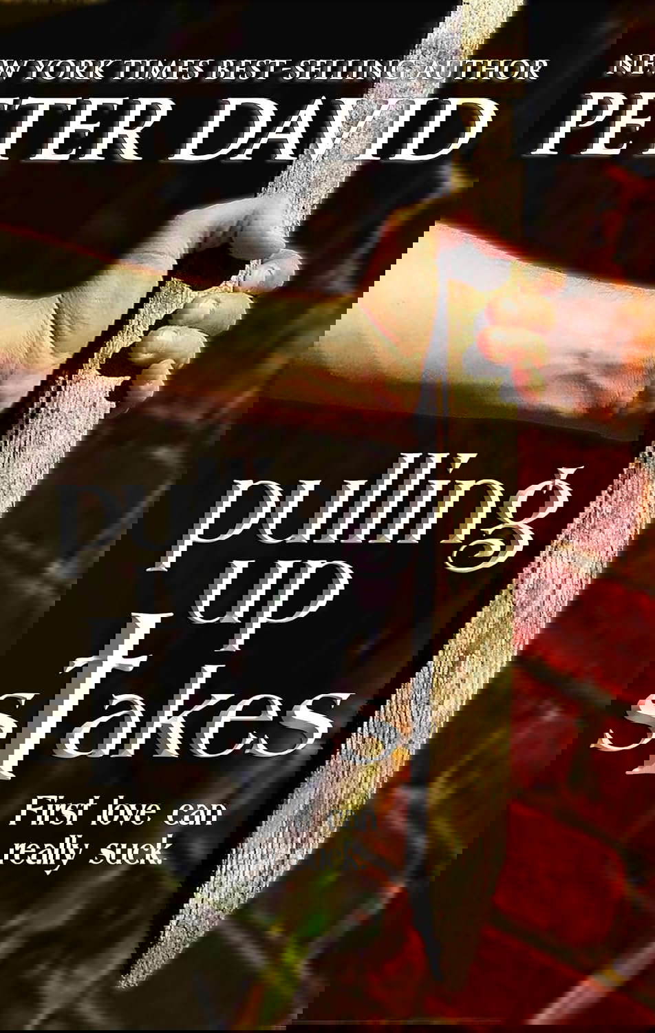 Pulling Up Stakes poster