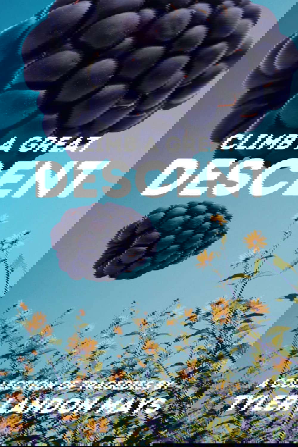 Climb a Great Descent: A Collection of Tragedies poster
