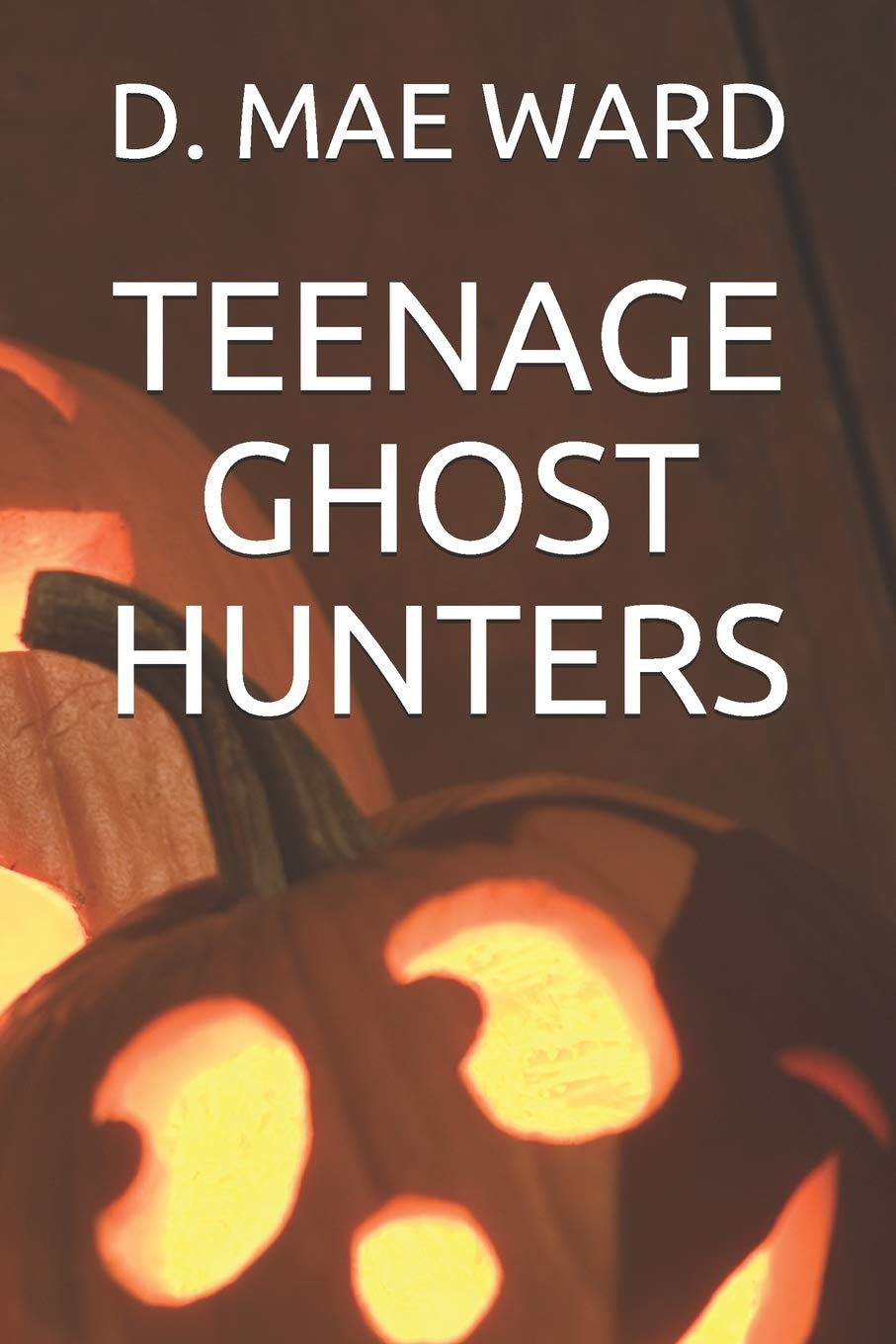 TEENAGE GHOST HUNTERS poster