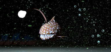 Ladybugs and Storm capsule